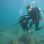 Instructor holding a diver steady over the reef, Try Scuba diving in Havelock Island
