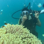 Diver making hand signs above an anemone, Try Scuba diving in Havelock Island