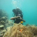 Diver making a heart sign above an anemone with clownfish, Try Scuba diving in Havelock Island