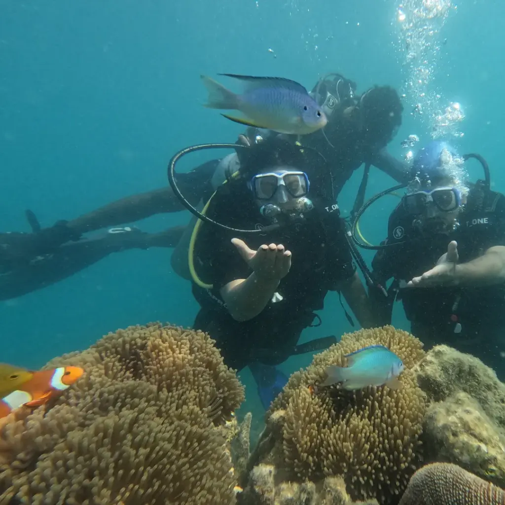 Two divers behind anemones with a clownfish, Turtle Beach scuba diving, Havelock Island