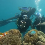Two divers behind anemones with a clownfish, Turtle Beach scuba diving, Havelock Island