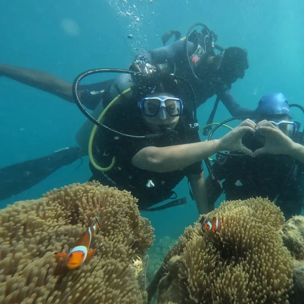 Divers making a heart sign above clownfish anemones, Turtle Beach scuba diving, Havelock Island