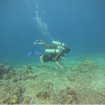 Diver swimming over a shallow sandy reef, Turtle Beach scuba diving, Havelock Island