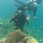 Diver showing OK signs above an anemone with small fish, Turtle Beach scuba diving, Havelock Island