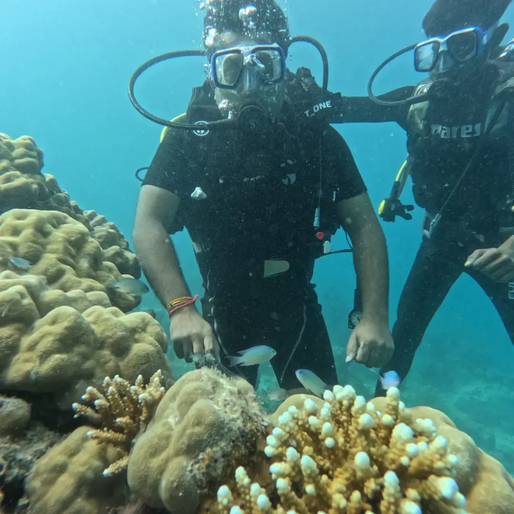 Two divers standing behind potato and branching coral, Turtle Beach scuba diving, Havelock Island