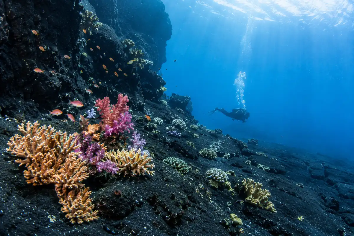 Diver along the black volcanic walls of Barren Island near Havelock
