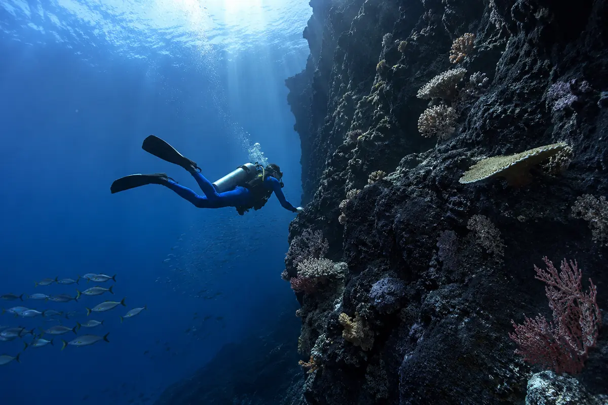 Scuba diver descending a deep wall on a Barren Island dive, Andaman