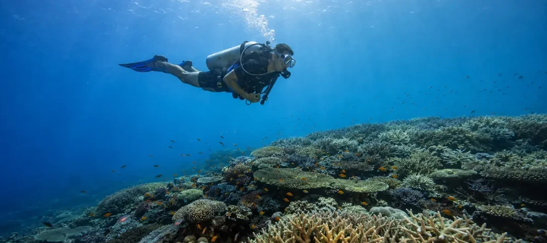 Scuba diver gliding over a sunlit coral reef at a dive site in Havelock Island, Andaman
