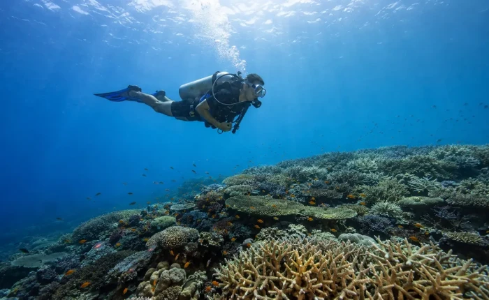 Scuba diver gliding over a sunlit coral reef at a dive site in Havelock Island, Andaman