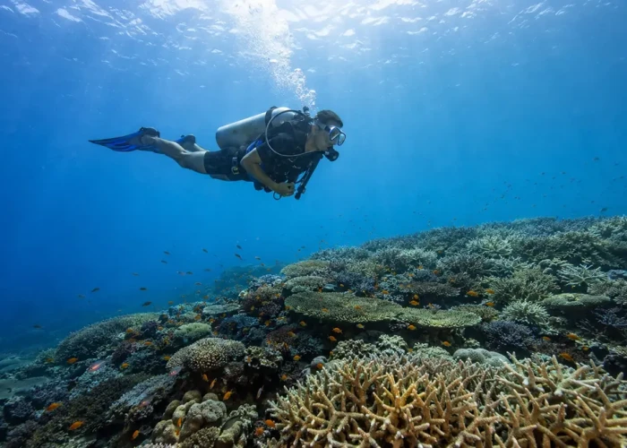 Scuba diver gliding over a sunlit coral reef at a dive site in Havelock Island, Andaman