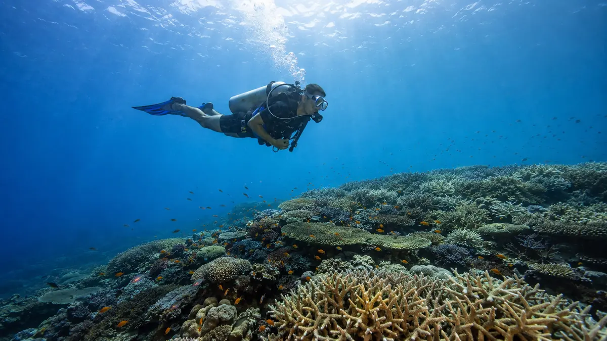 Scuba diver gliding over a sunlit coral reef at a dive site in Havelock Island, Andaman