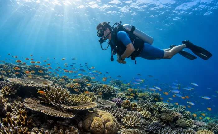 Scuba diver over a coral reef in the Andaman Islands
