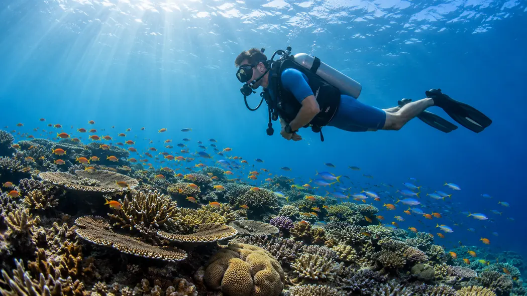 Havelock or Neil Island for Scuba Diving...