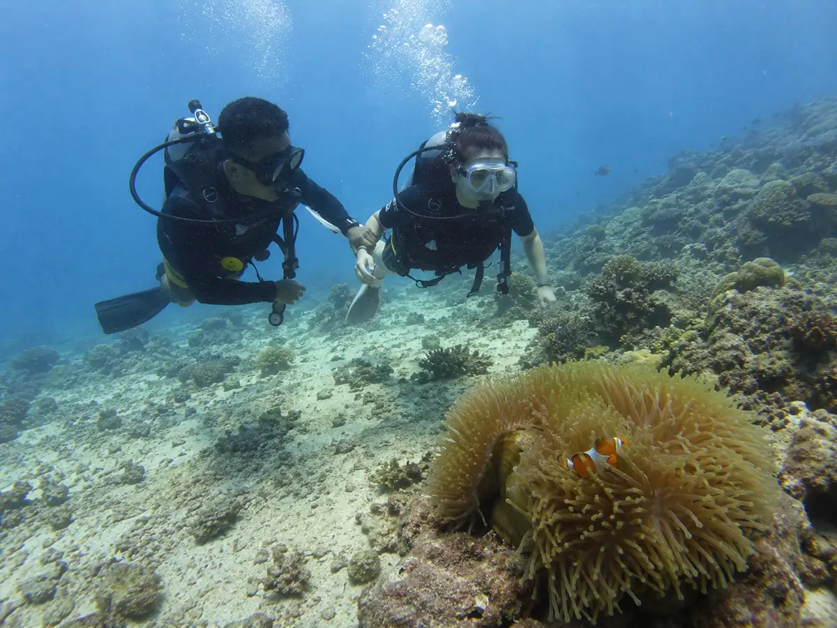 Beginner scuba diving with an instructor over Nemo Reef, Havelock, with a clownfish anemone