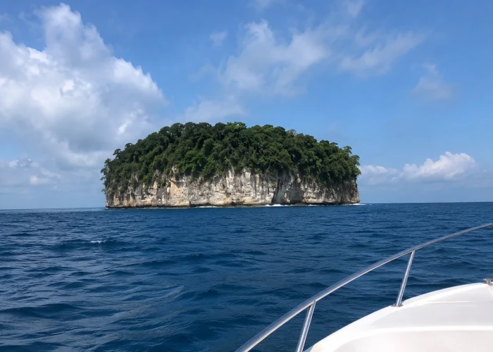 South Button Island seen from the boat in Ritchie's Archipelago, Andaman