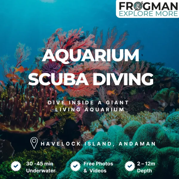 Aquarium scuba diving in Havelock Island, Andaman - Frogman Adventures boat dive