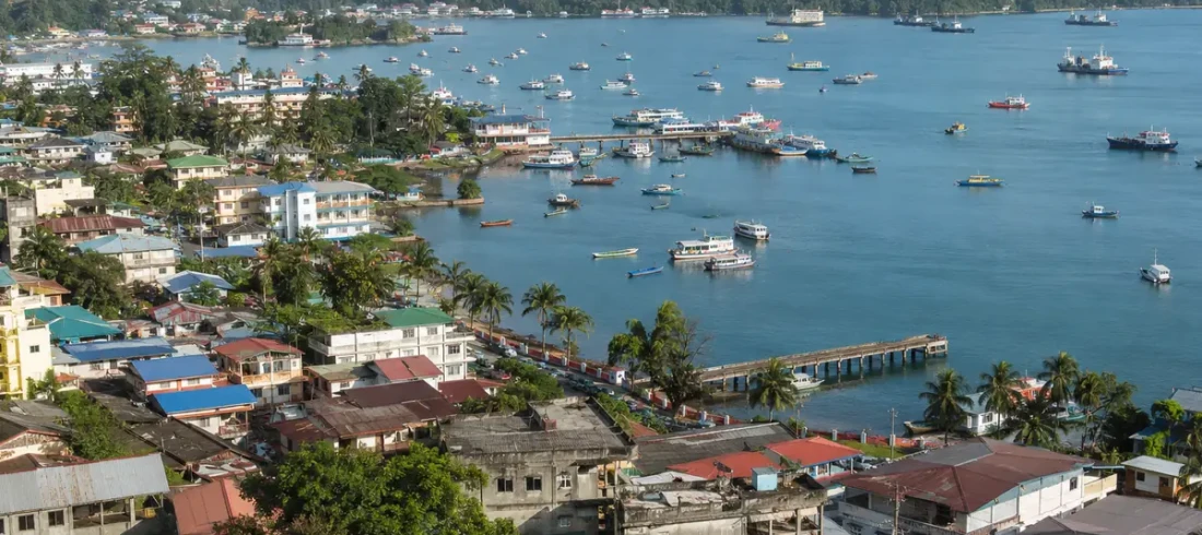 Port Blair harbour and town seen from a hillside, boats at anchor with green hills behind, Andaman Islands