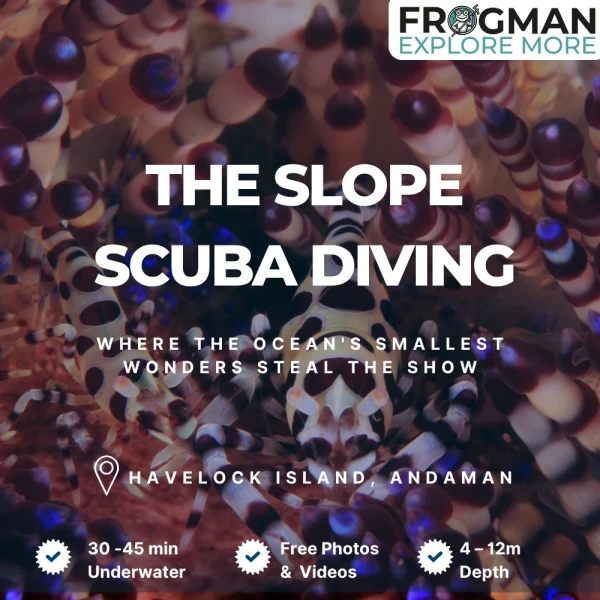 The Slope scuba diving in Havelock Island, Andaman - Frogman Adventures boat dive