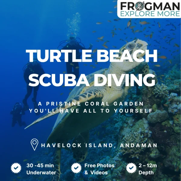 Turtle Beach scuba diving in Havelock Island, Andaman - Frogman Adventures boat dive