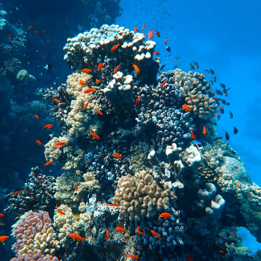 The Slope — Frogman Adventures, Havelock Island