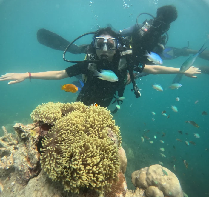Diver with arms wide above a sea anemone bed