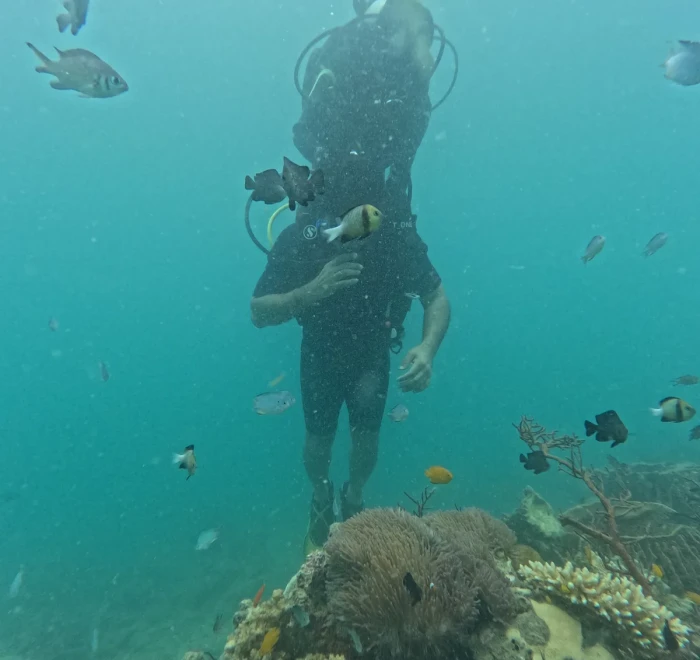 Diver with a camera among the reef fish