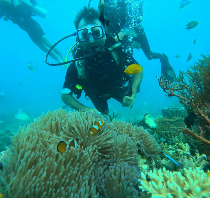 Diver above a clownfish anemone with coral around it