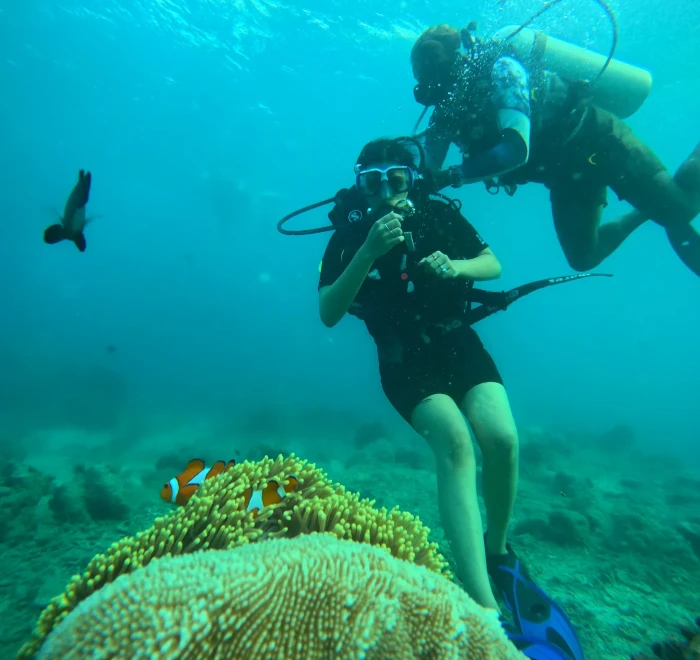 Diver beside a clownfish anemone on one of the best reefs around Havelock Island