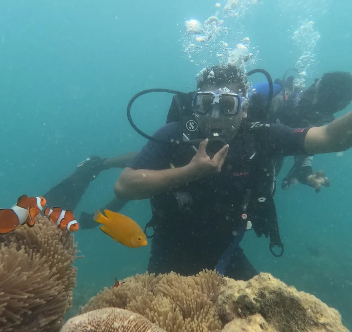 Diver above a clownfish anemone with a yellow fish alongside