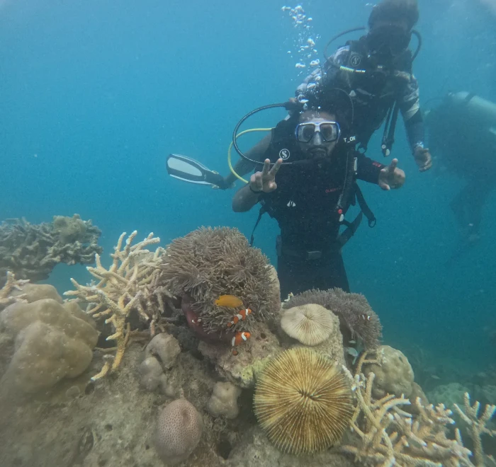 Diver above coral and anemones on the reef