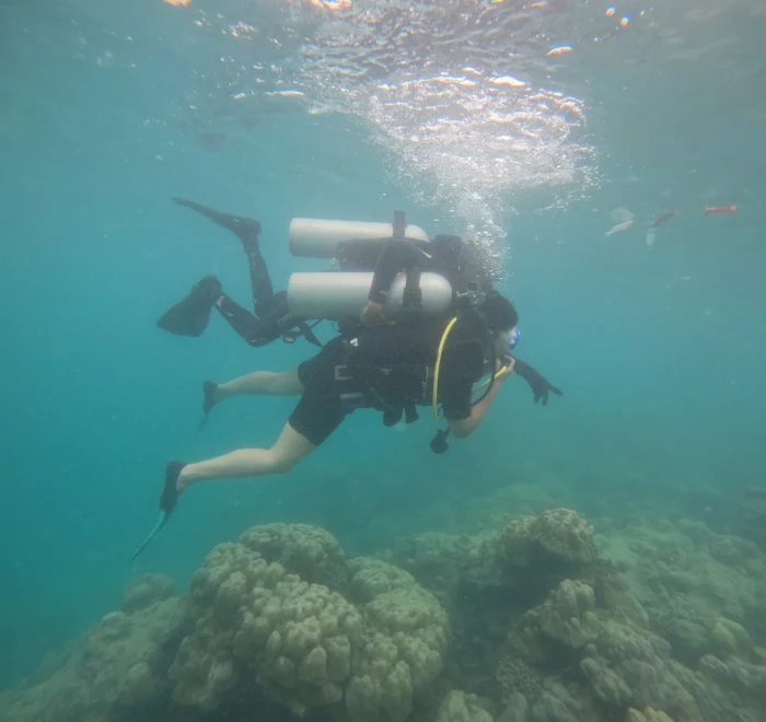 Diver above a coral bommie with bubbles rising