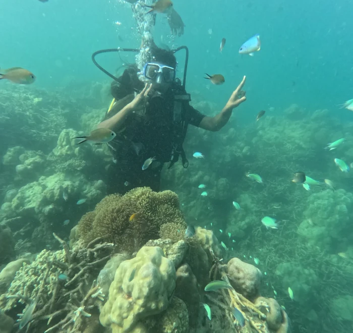Diver above a coral garden with fish around