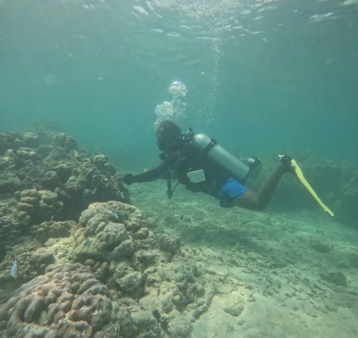 Diver above a coral head in green water