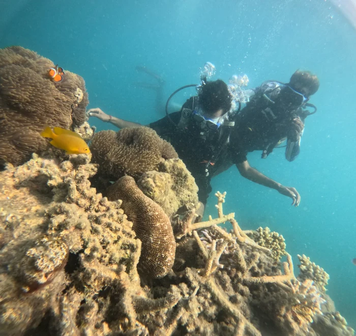Diver above a coral head with a yellow reef fish alongside