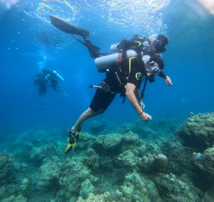 Diver above the coral reef with sunlight on the surface, typical of Havelock Island diving
