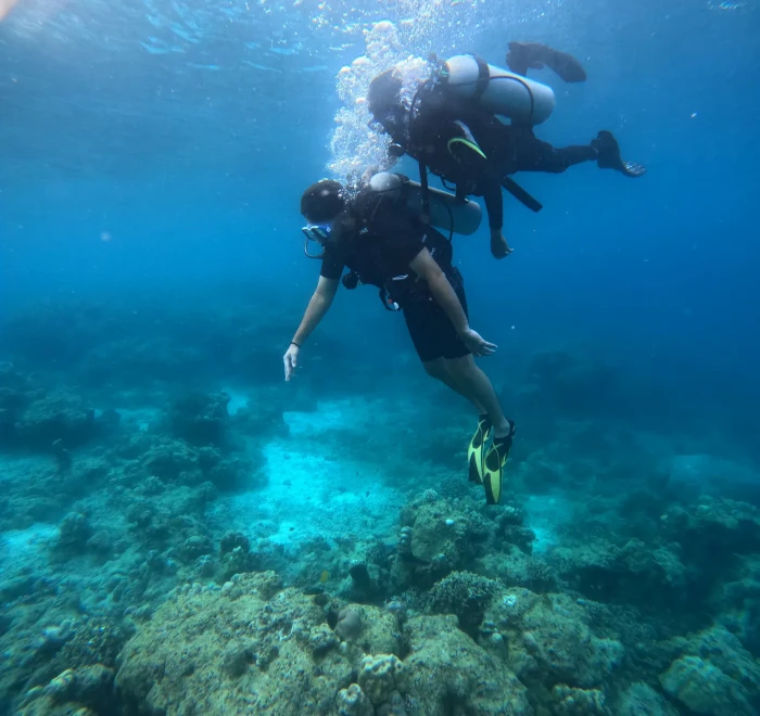 Diver descending towards the coral reef in the Andaman Sea