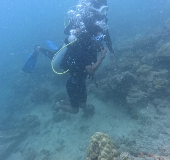 Diver descending towards the reef in blue water