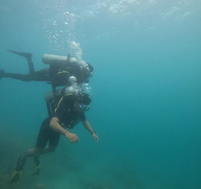 Diver descending through the water column towards the reef