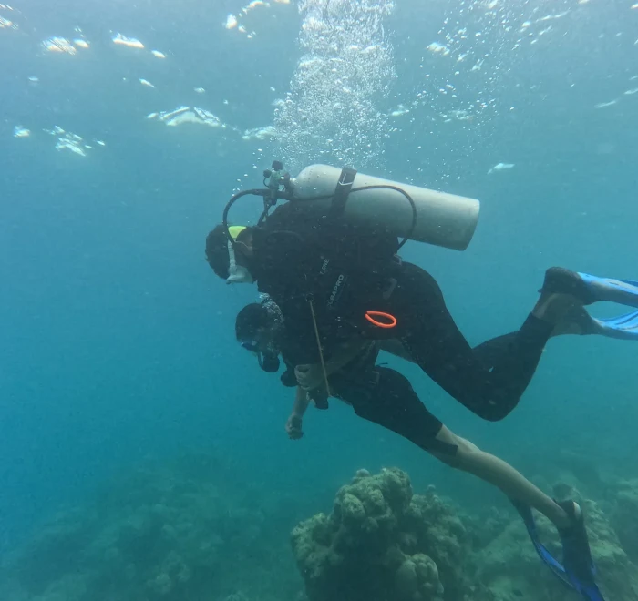 Diver finning along the reef slope in the Andaman Sea off Swaraj Dweep
