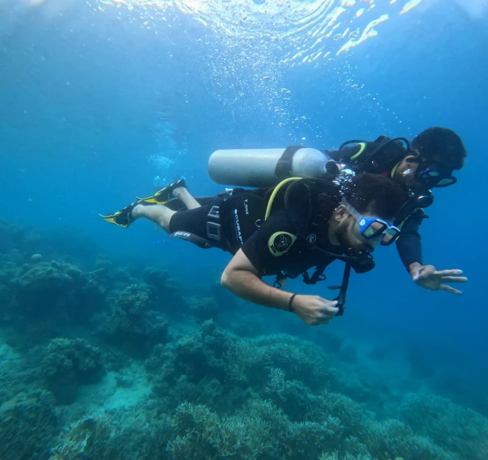 Diver finning over the reef close to the surface in typical Havelock Island diving conditions