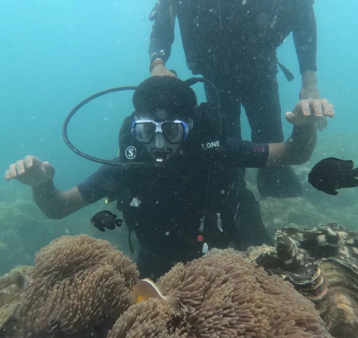 Diver giving the OK sign above the coral