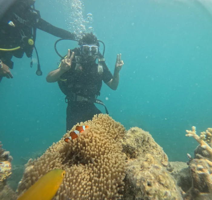 Diver giving the OK sign above a sea anemone