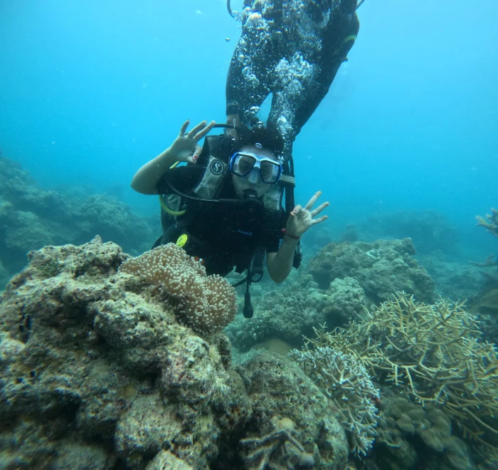 Diver giving a peace sign above the reef