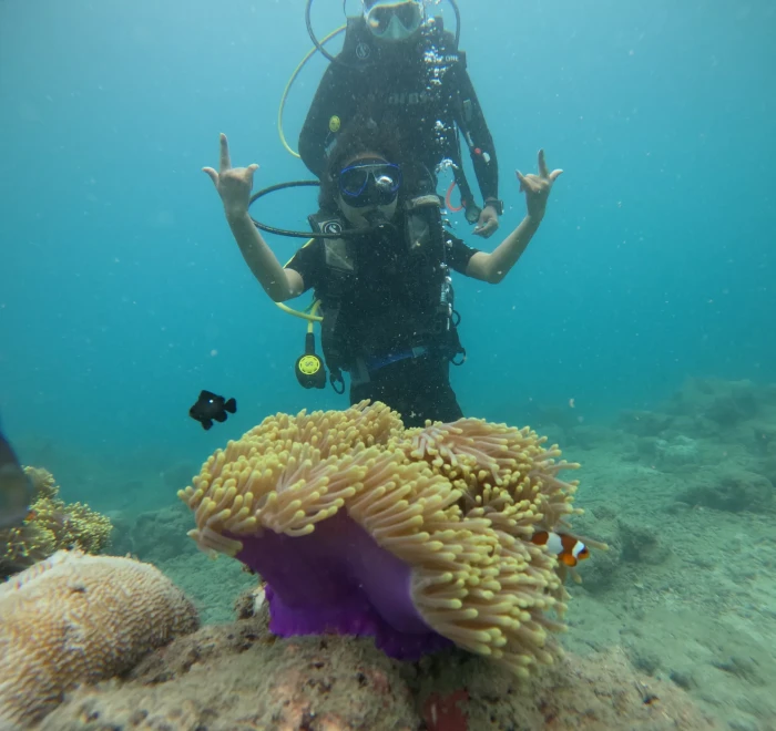 Diver giving shaka signs above a clownfish anemone