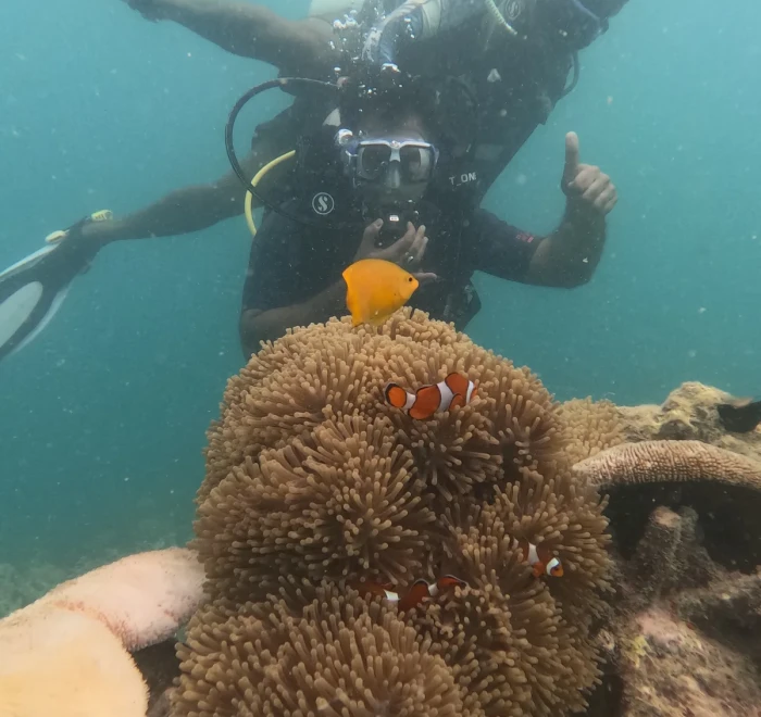 Diver giving a thumbs up above a clownfish anemone