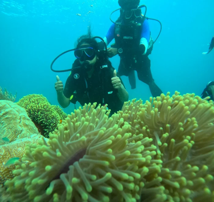 Diver giving a thumbs up above the sea anemones