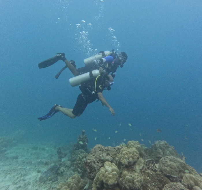 Diver holding a level position above the reef