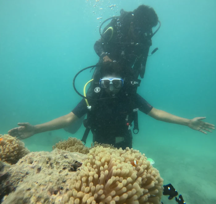Diver hovering above a large sea anemone on the reef