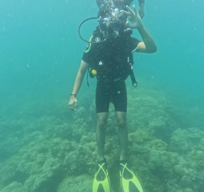 Diver hovering above the reef in green water