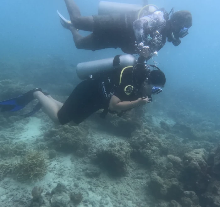 Diver lining up a shot with an underwater camera over the reef